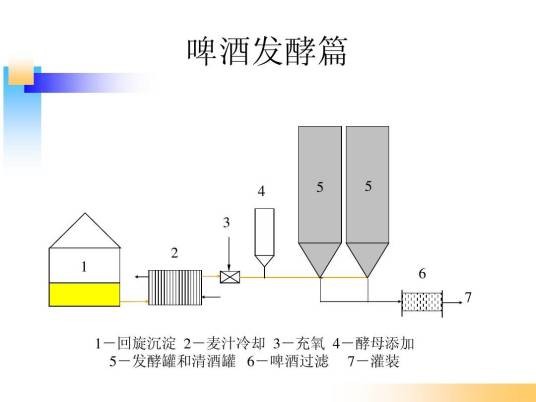 啤酒发酵技术（啤酒发酵的技术）