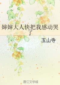 婶婶大人快把我感动哭了