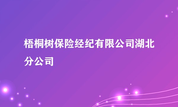 梧桐树保险经纪有限公司湖北分公司