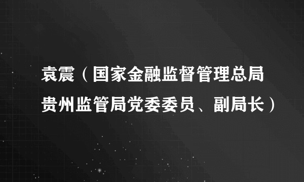 袁震（国家金融监督管理总局贵州监管局党委委员、副局长）