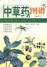 中草药图谱（一）