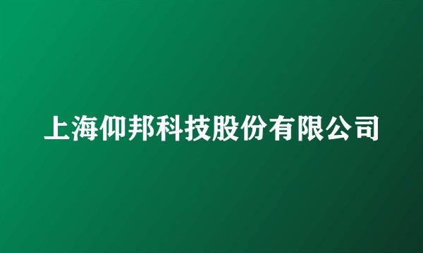 上海仰邦科技股份有限公司