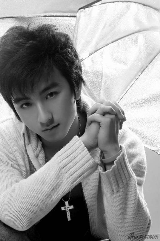 武雨泽(中国内地影视男演员、导演、编剧)