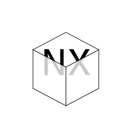 NX（著名思想实验）