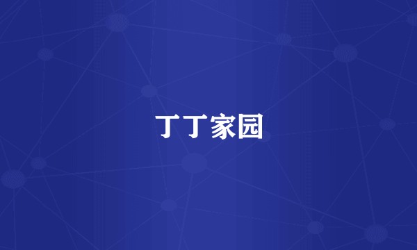 丁丁家园