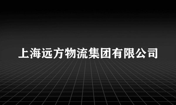 上海远方物流集团有限公司