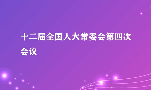 十二届全国人大常委会第四次会议
