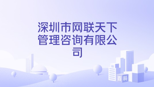 深圳市网联天下管理咨询有限公司