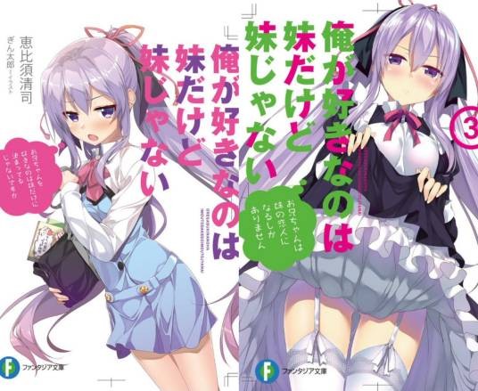 我喜欢的妹妹不是妹妹（NAZ和Magia Doraglier共同改编的电视动画）