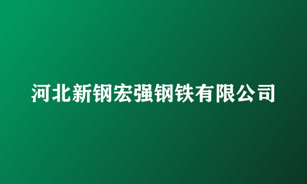 河北新钢宏强钢铁有限公司