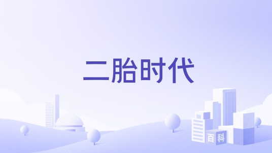 二胎时代（婴童食品品牌）