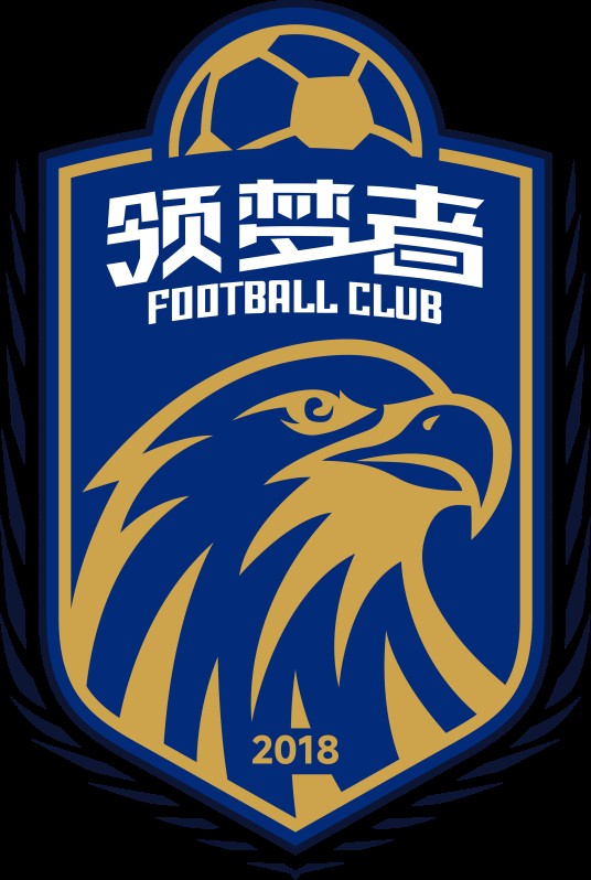 新疆领梦者足球俱乐部