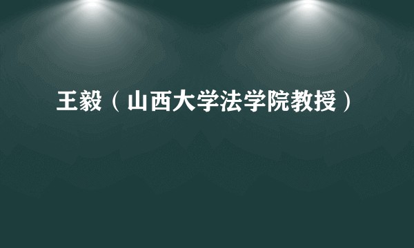 王毅（山西大学法学院教授）