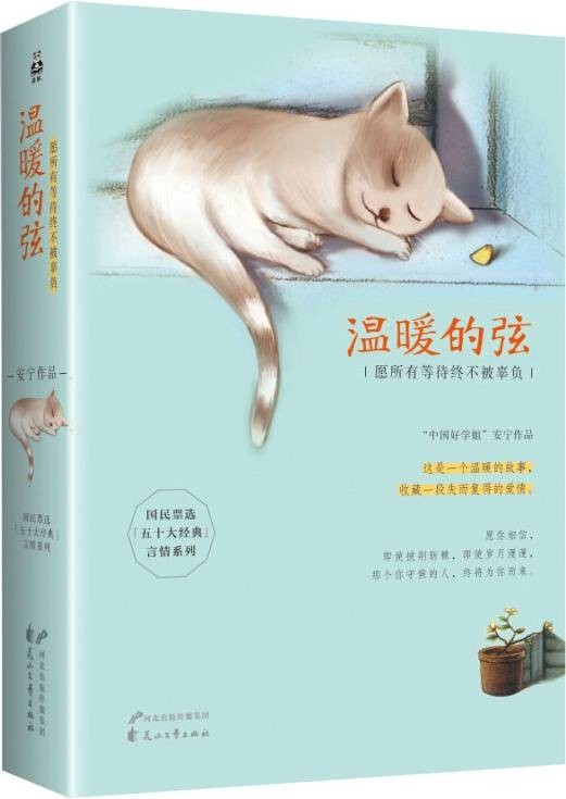 温暖的弦(安宁创作的小说)
