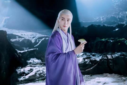 东华（电视剧《三生三世枕上书》中的男主角）
