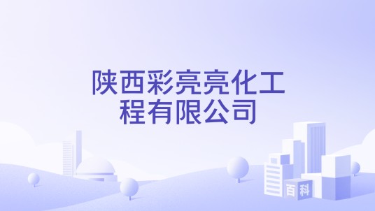 陕西彩亮亮化工程有限公司