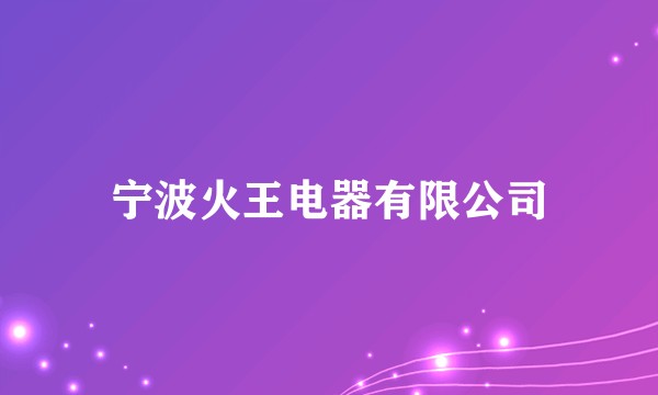 宁波火王电器有限公司