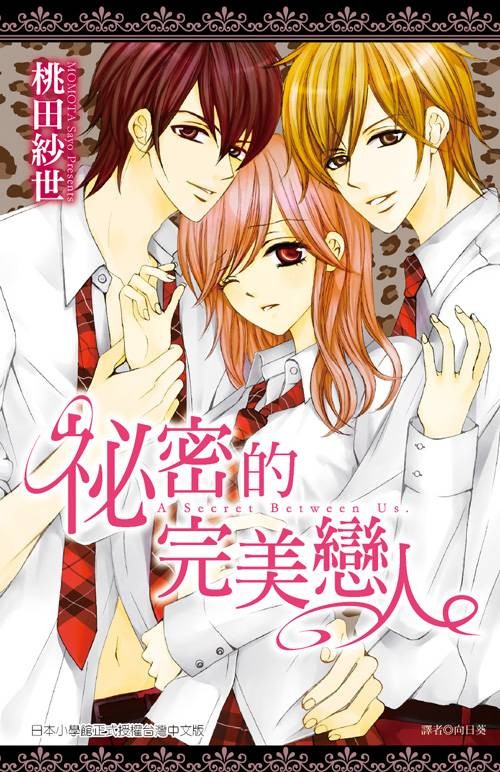 秘密的完美恋人