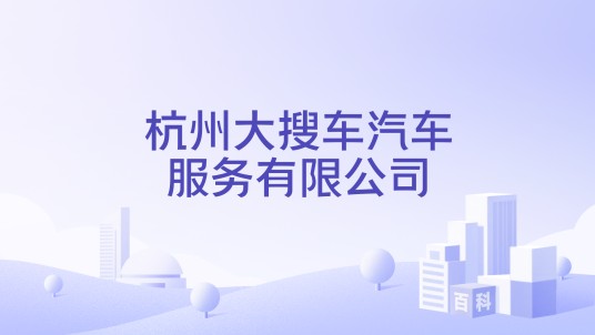 杭州大搜车汽车服务有限公司