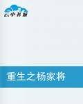 重生之杨家将