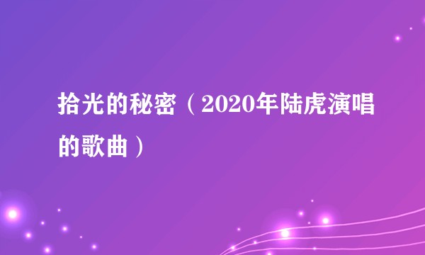 拾光的秘密（2020年陆虎演唱的歌曲）