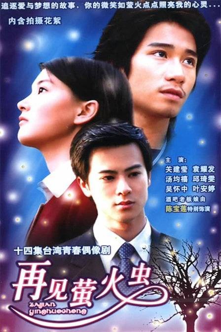 再见萤火虫（2002年王毓雅、李慧珠执导的电视剧）