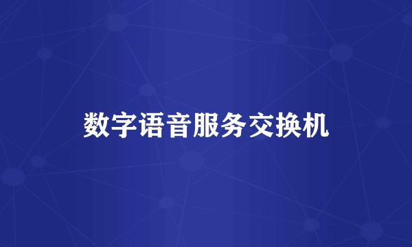 数字语音服务交换机