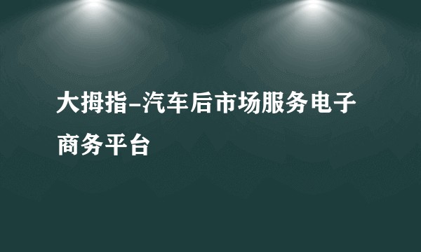 大拇指-汽车后市场服务电子商务平台