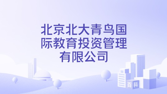 北京北大青鸟国际教育投资管理有限公司