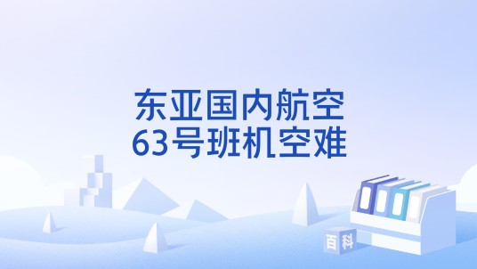 东亚国内航空63号班机空难