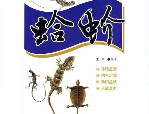 蛤蚧（2005年王肃编著天津科学技术出版社出版图书）