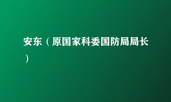 安东（原国家科委国防局局长）