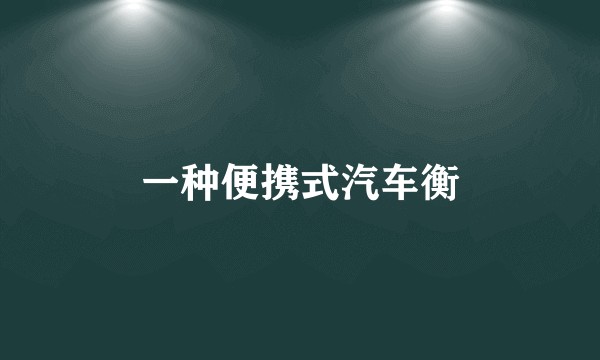 一种便携式汽车衡