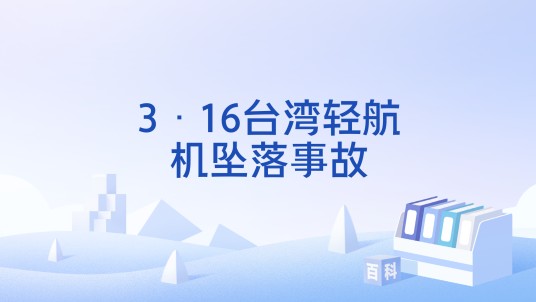 3·16台湾轻航机坠落事故