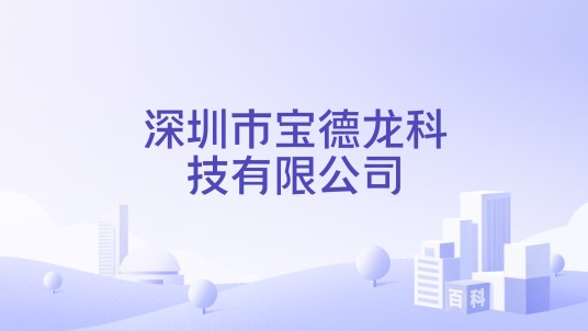 深圳市宝德龙科技有限公司