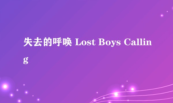 失去的呼唤 Lost Boys Calling