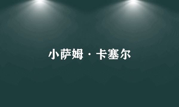 小萨姆·卡塞尔