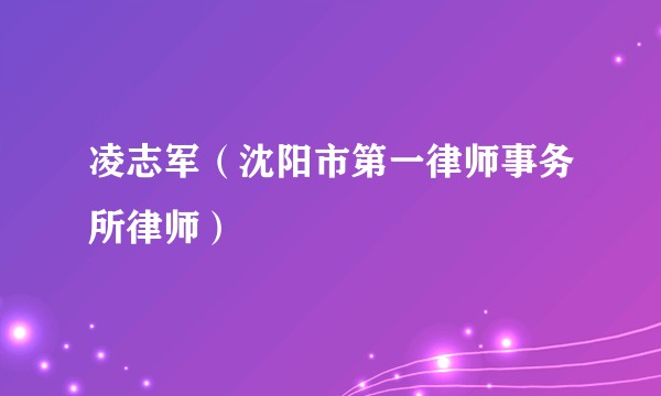 凌志军（沈阳市第一律师事务所律师）