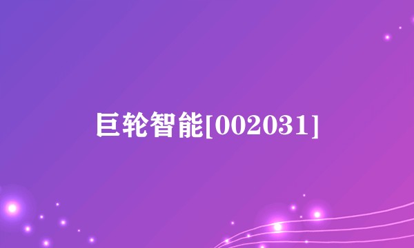 巨轮智能[002031]