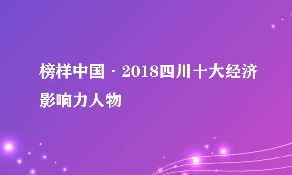 榜样中国·2018四川十大经济影响力人物