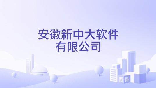 安徽新中大软件有限公司