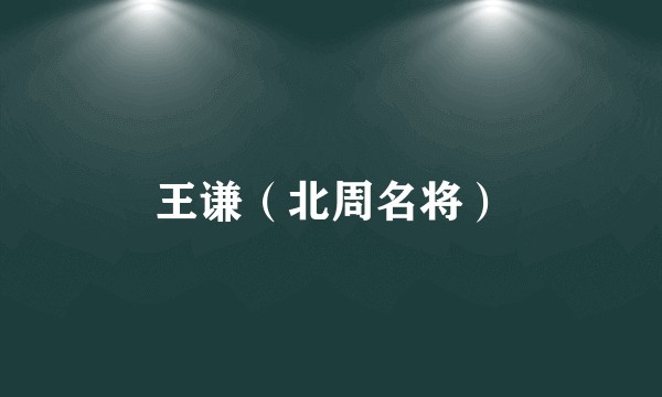 王谦（北周名将）