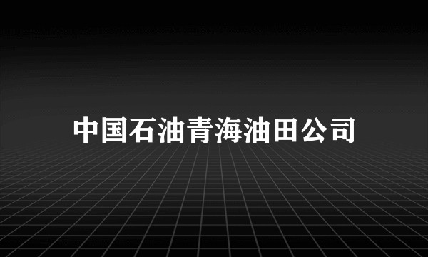 中国石油青海油田公司