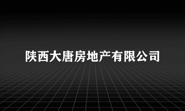 陕西大唐房地产有限公司