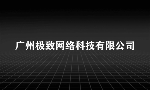 广州极致网络科技有限公司