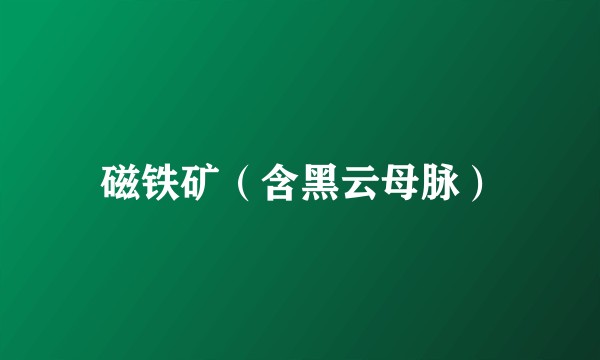 磁铁矿（含黑云母脉）