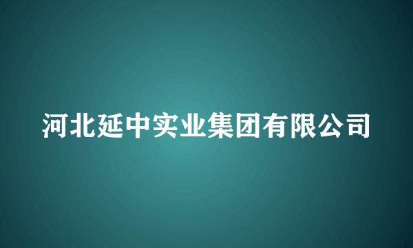 河北延中实业集团有限公司