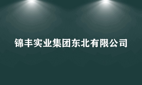 锦丰实业集团东北有限公司