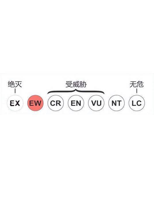 野外灭绝