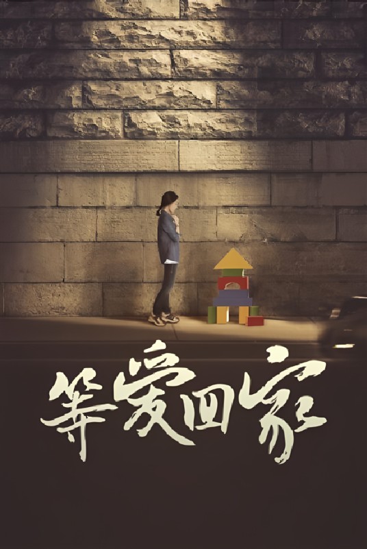 等爱回家（2016年罗浩执导的剧情电视剧）